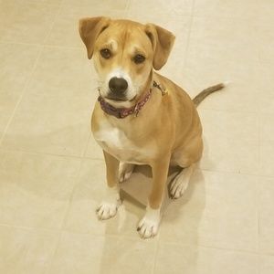 Meet your Posher, Joel